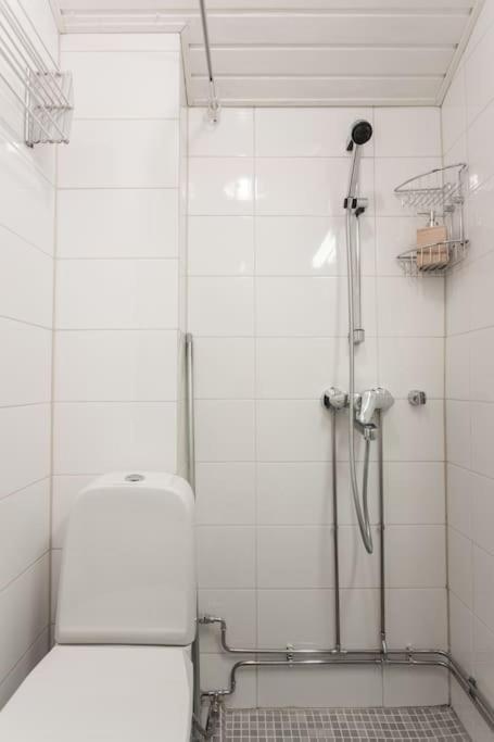 ヘルシンキKodikas Huoneisto Helsingin Keskustassaアパートメント エクステリア 写真